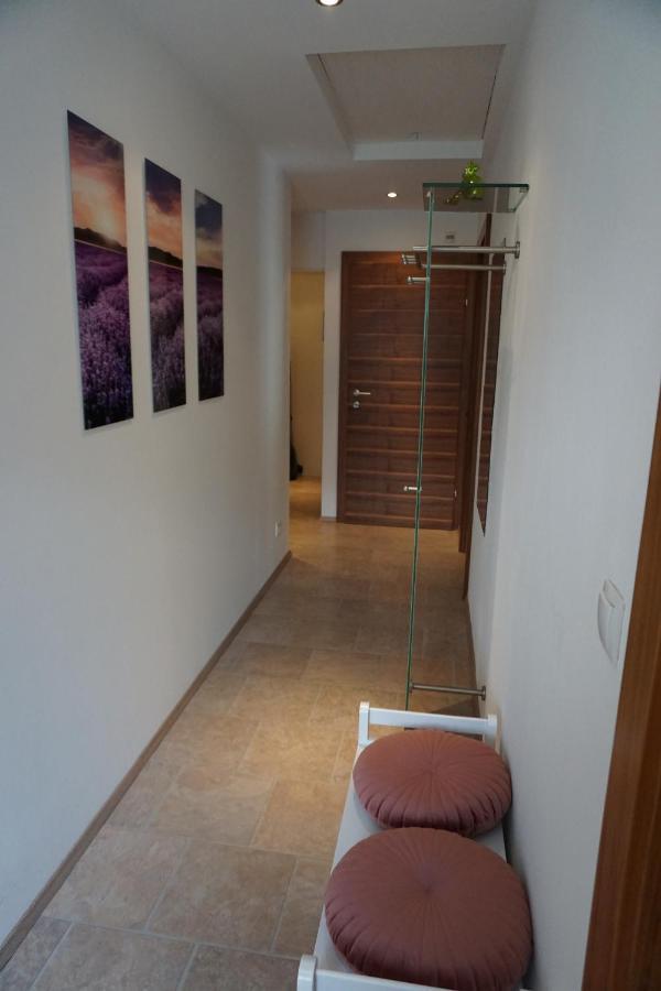 Appartement Winteraugut Werfen Buitenkant foto