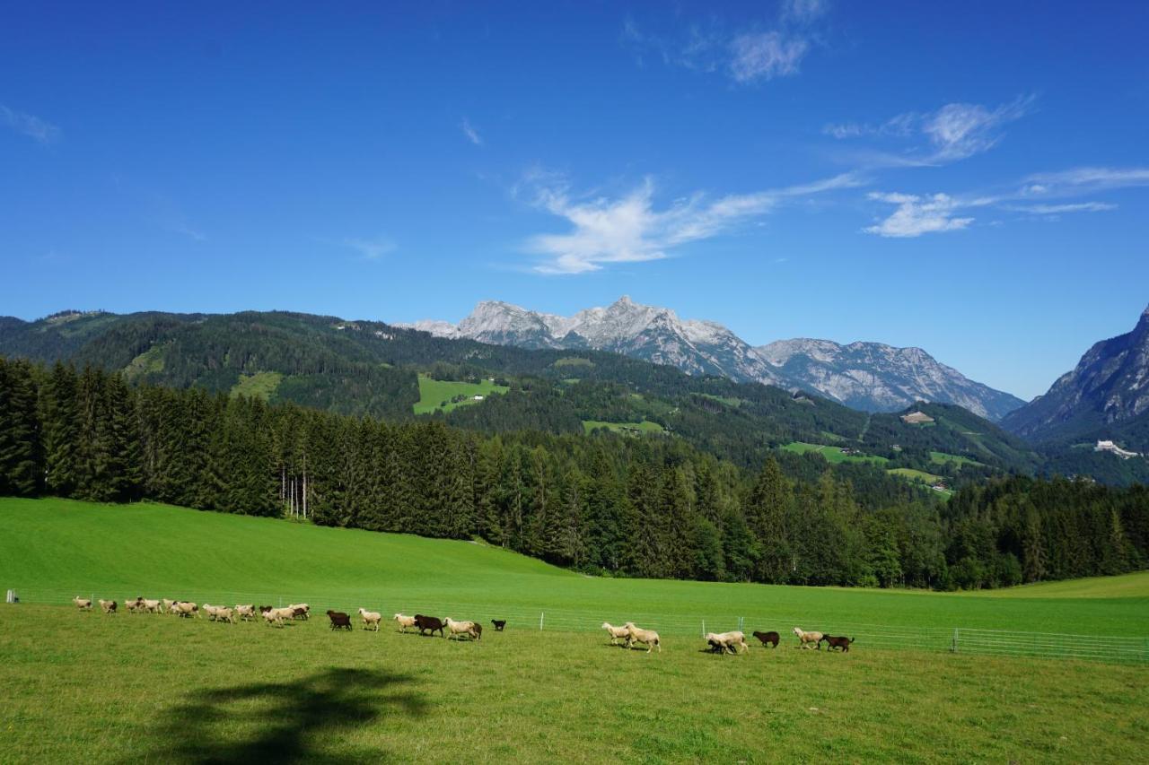 Appartement Winteraugut Werfen Buitenkant foto