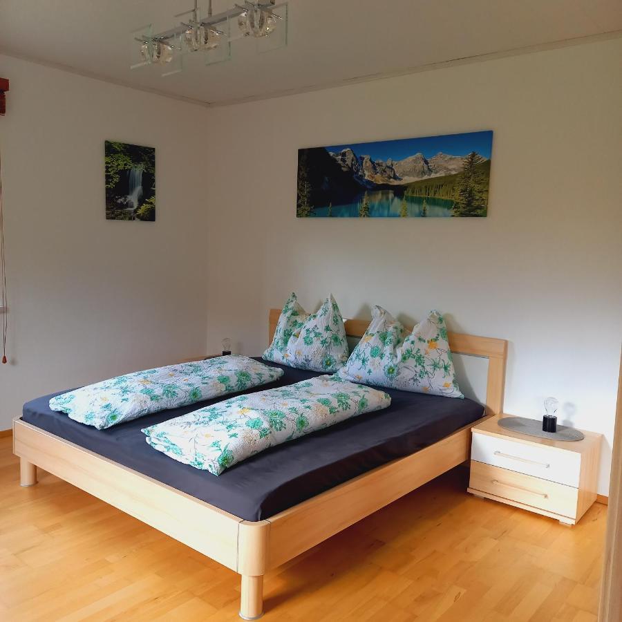 Appartement Winteraugut Werfen Buitenkant foto