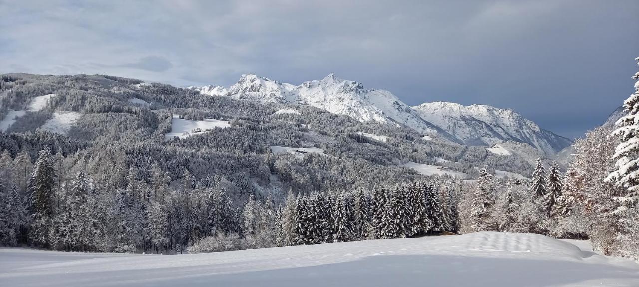 Appartement Winteraugut Werfen Buitenkant foto