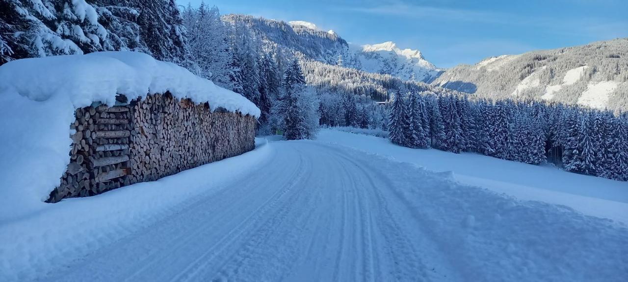 Appartement Winteraugut Werfen Buitenkant foto