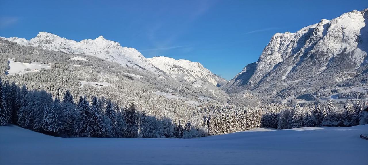 Appartement Winteraugut Werfen Buitenkant foto
